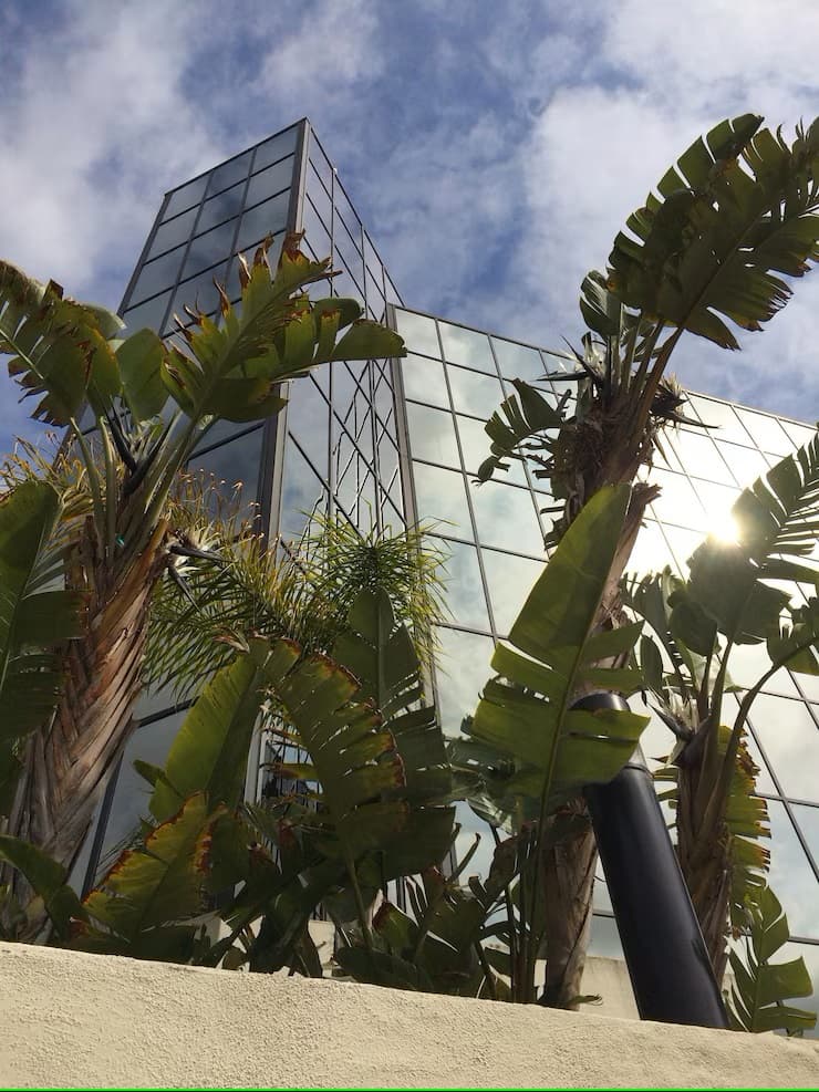 Sustainable Architecture for Banks in Nigeria: Eco-Friendly Design and Construction in 2025